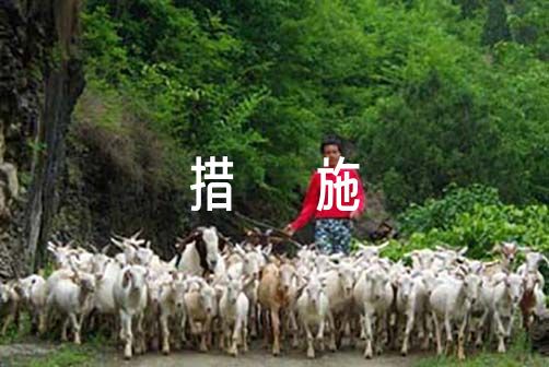 如何制定一个支持篮球训练发展的长期计划_2